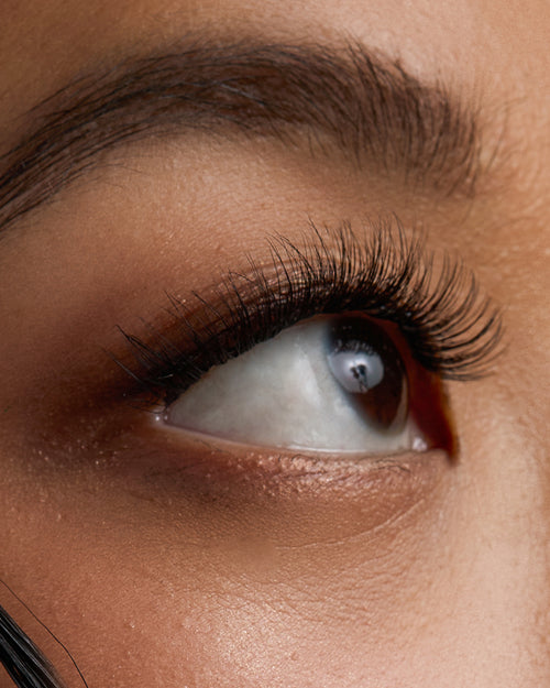 Ebe Edition Lash Clusters - Cielo