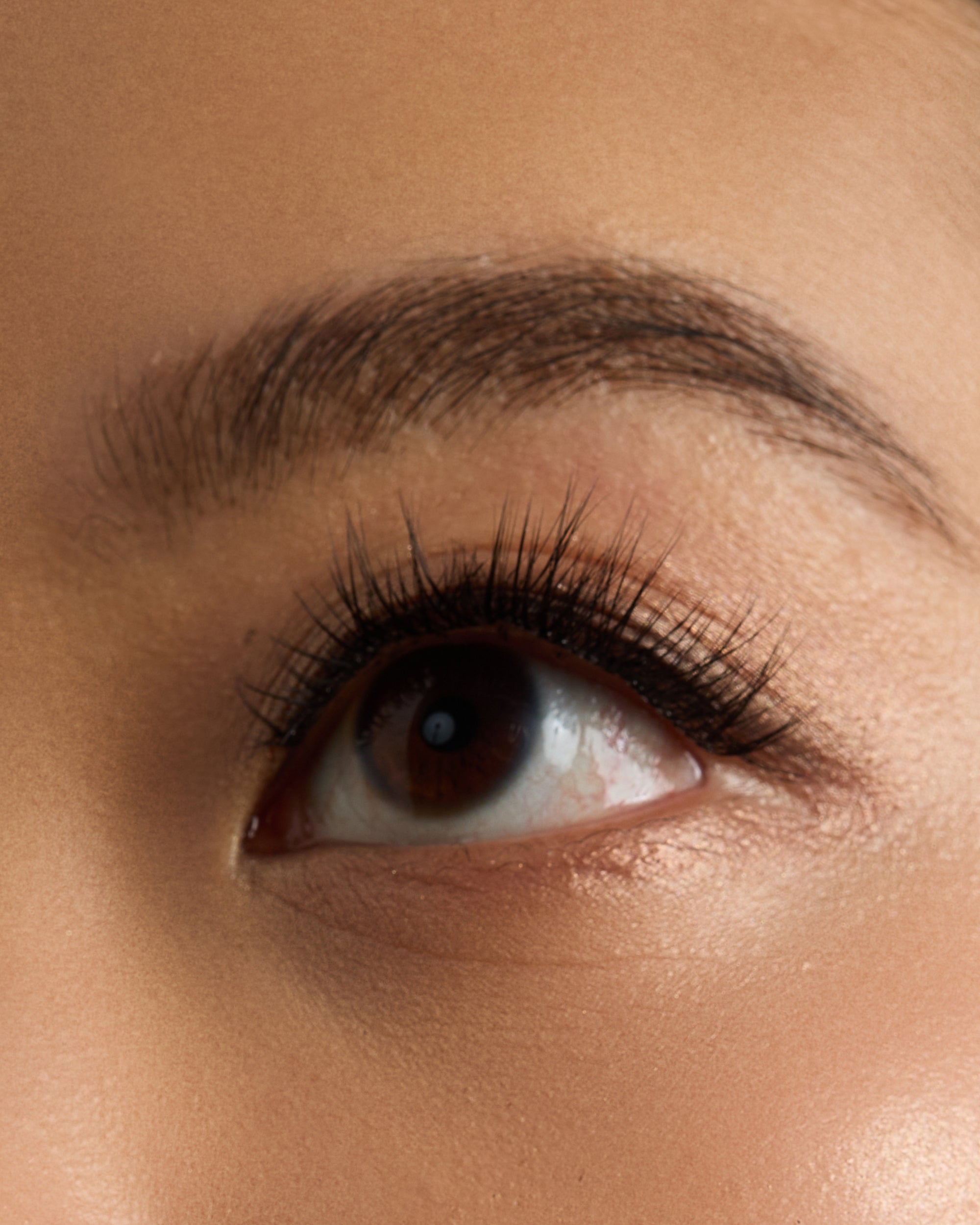 Ebe Lash Clusters - Iris