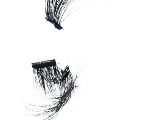 Top decorative image