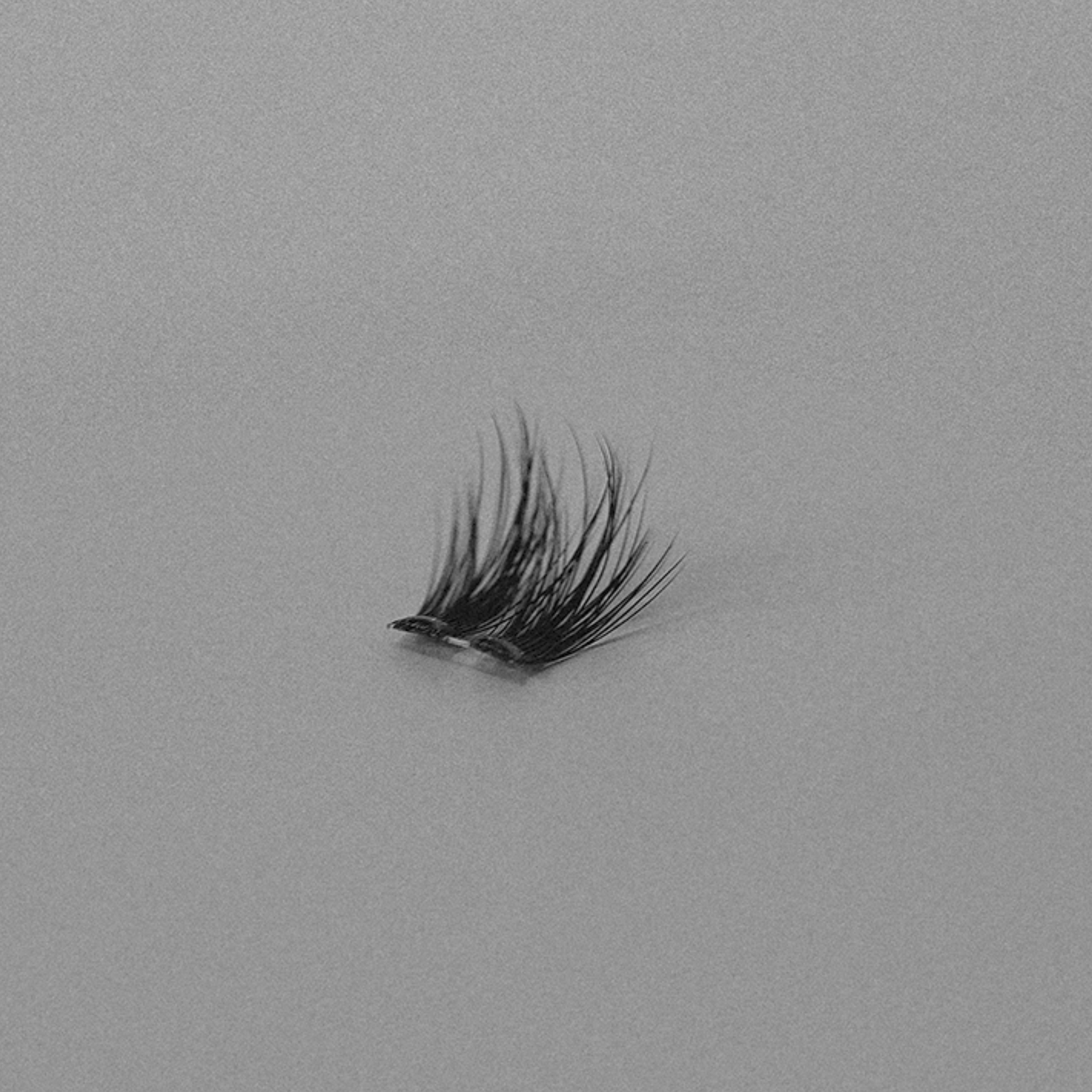 Ebe Lash Clusters - Alessa