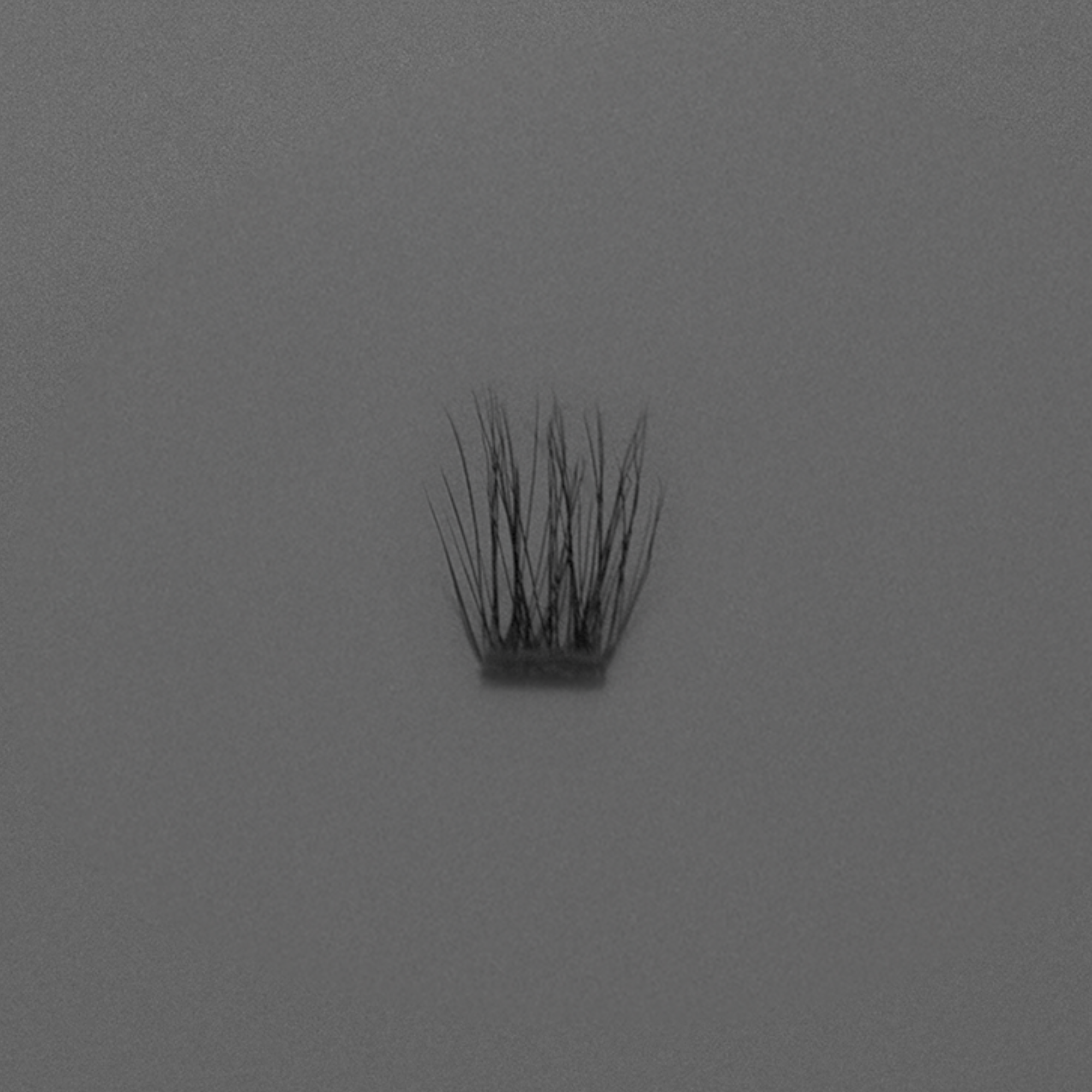 Ebe Edition Lash Clusters - Cielo