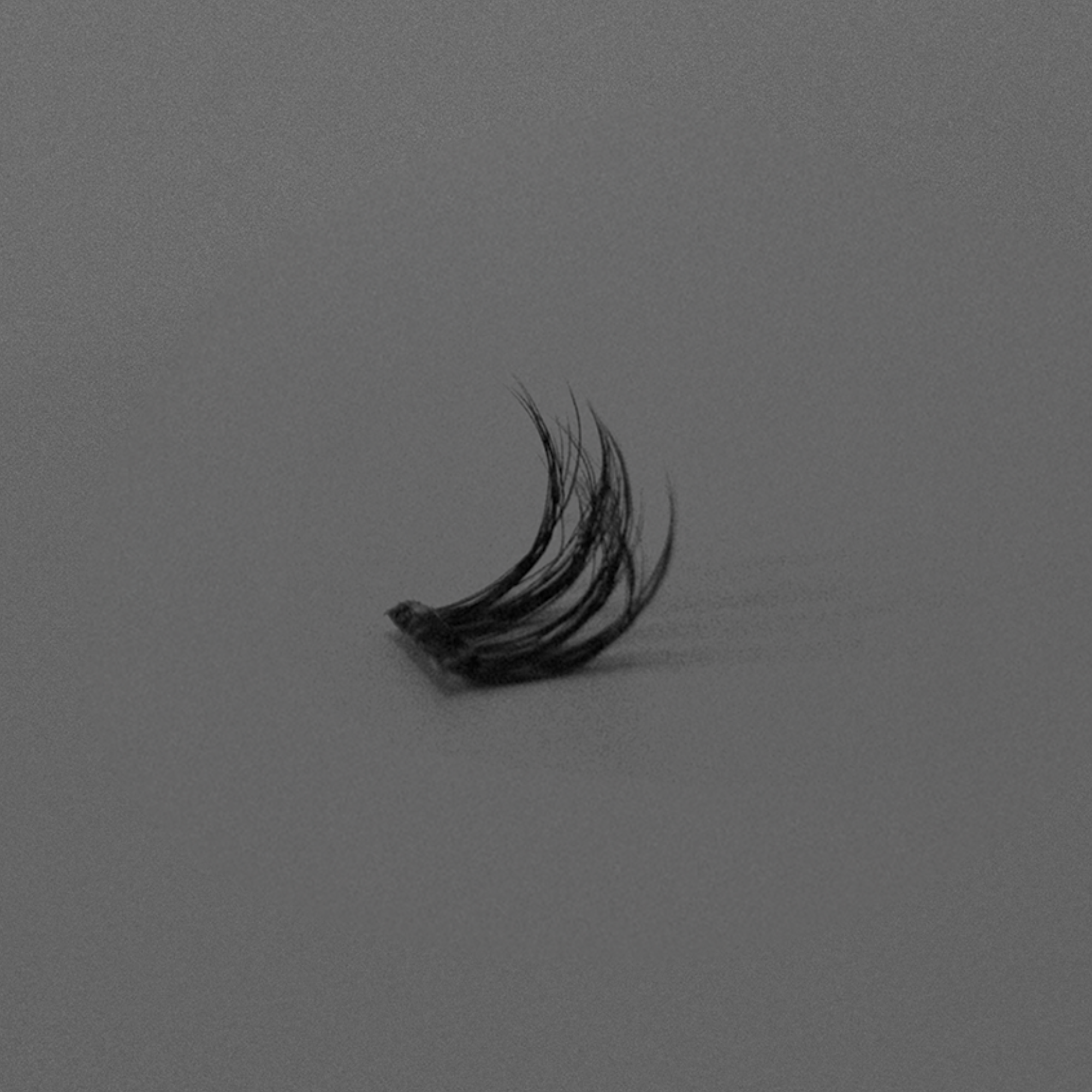 Ebe Edition Lash Clusters - Miya