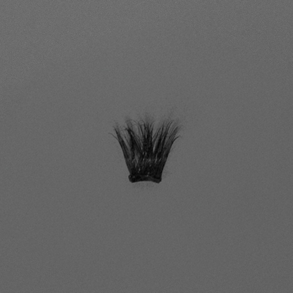 Ebe Edition Lash Clusters - Nicole