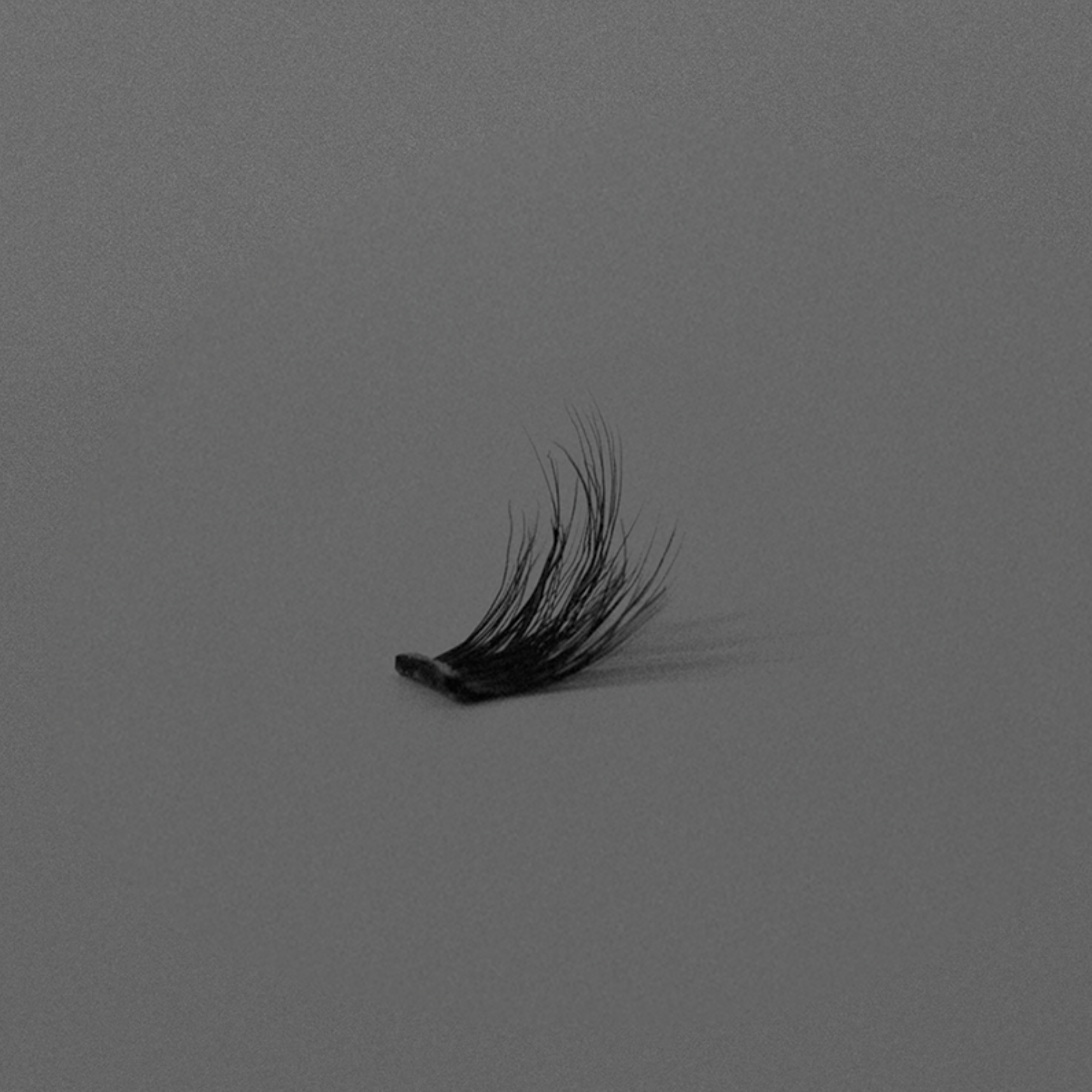 Ebe Edition Lash Clusters - Nicole