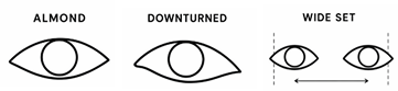 Doll Eye eye shape guide