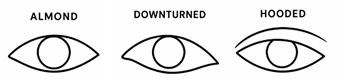 Kitten Eye eye shape guide