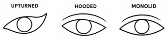 Natural Eye eye shape guide